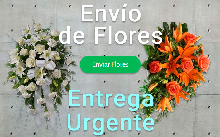 Envio flores difunto urgente a Tanatorio Zaragoza